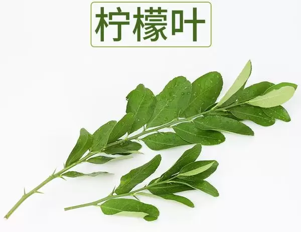 孕宝妈告诉您吃柠檬叶是否会上火