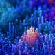 量子计算